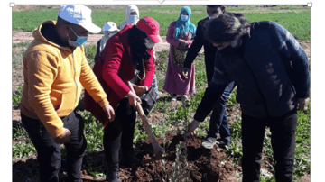 Image 2021 03 01 024935