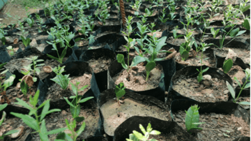 Capture decran 2021 07 26 103320