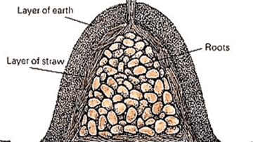 Screen Shot 2021 07 20 at 12 44 08 PM