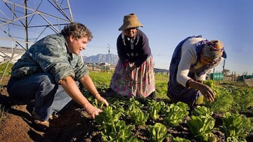 Africa Food Security