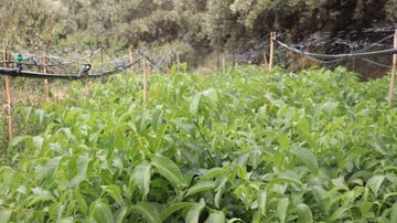 Capture decran 2021 11 19 153619