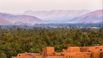 Capture decran 2022 02 22 101533