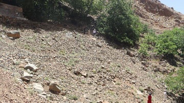 3e23d241 8334 f445 3546 a64d2324f18d