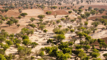 Capture decran 2022 09 20 121318