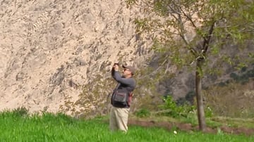 B5bcdc7e 602f 47fe aaf6 e6e597a0475f