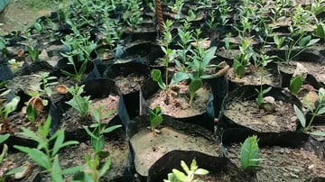 C9ed22 f5424c0776914029a29ce0a36109c0aamv2 jpg