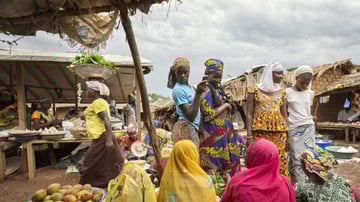 Central african republic history and culture