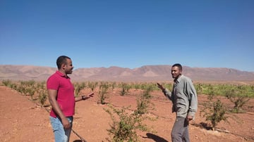 Fc2386e4 1a17 430b 8edb 78dbaf2cf11c