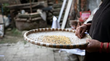 Food and agriculture organizations resilient regenerative Food Tank