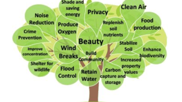 Image 2021 03 26 103507