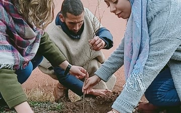 People planting a sapling