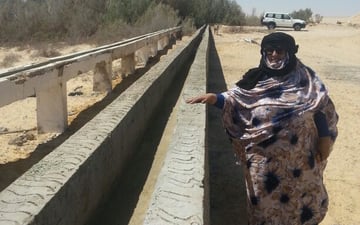 42188794041 787696bd3d o