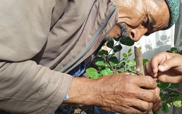 52373217772 1eaabc4050 o