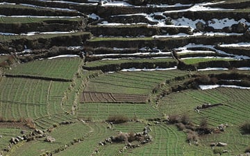 2286944792 a2643d96b0 o