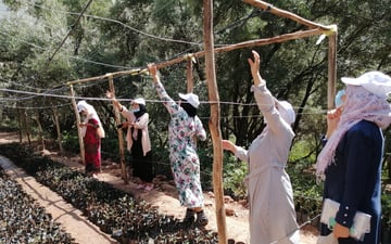 Tassa Ouirgane nursery