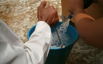 Hand holding water bucket