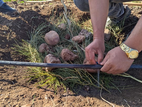 Talat N Mimoun 02 25 105