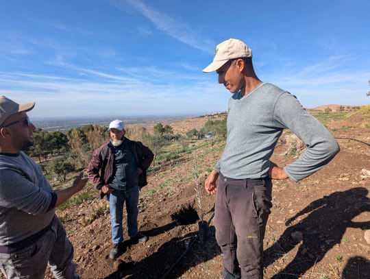 Talat N Mimoun 02 25 108