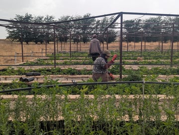 PXL 20250806 151843423