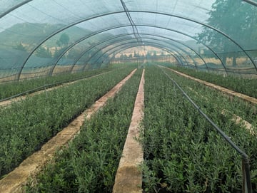 PXL 20250806 154538621