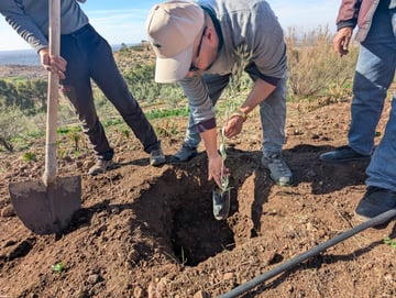 Talat N Mimoun 02 25 60