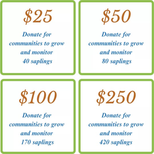 7ab58a 25fd769dd6574faaaa02f6aafc9ccd2amv2