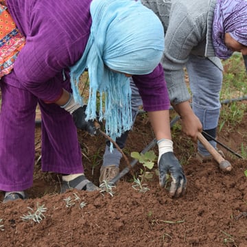 29985877254 c60ce7b1e9 o 2