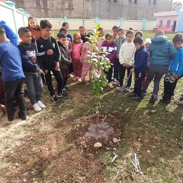 53530392781 55864e56c0 o