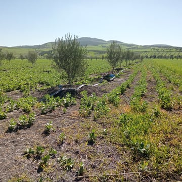 53689100601 a31b10aaa1 o