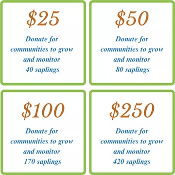 7ab58a 25fd769dd6574faaaa02f6aafc9ccd2amv2