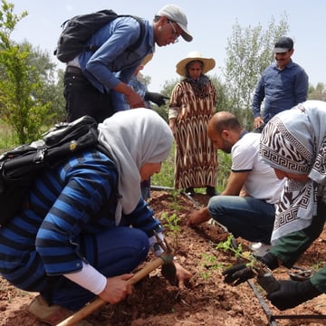 Volunteers planting saplings