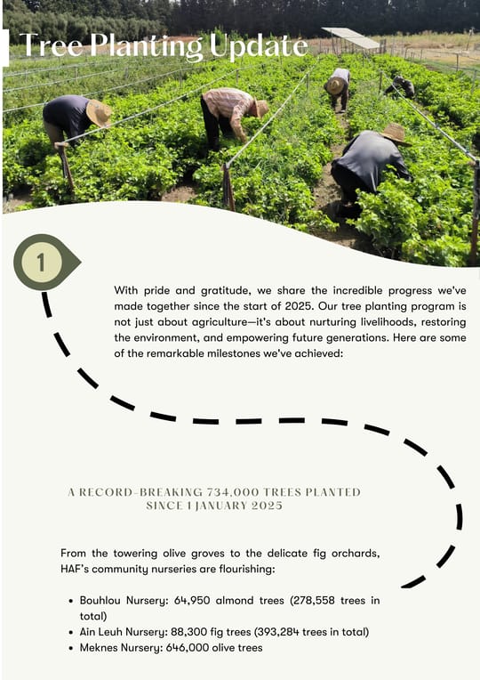 Tree Planting Program Update 2025 Since the start of 2025 HAF has made significant strides in tree planting strengthening partnerships expanding nurseries and increasing community engagement 72