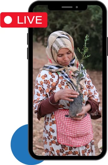 7ab58a a0d99e3de4f74b77a7663661b3b666c1mv2