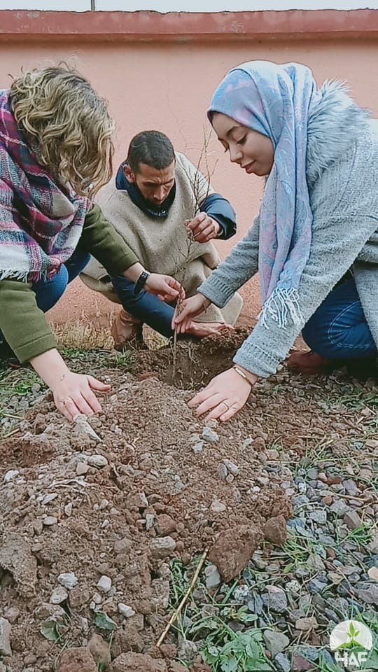 People planting a sapling