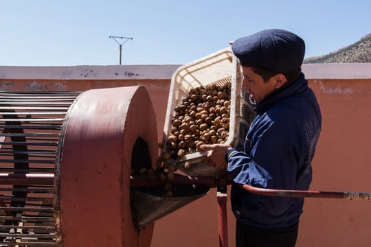 16233555263 d38f9b8e24 o