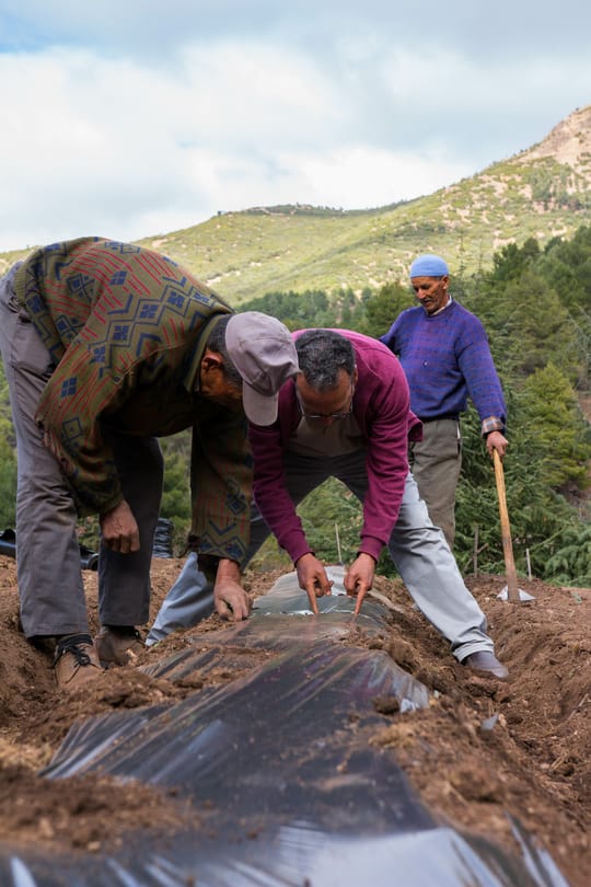 16666186688 97915b2977 o