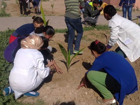 16757234554 0ac725a33e o 2 min