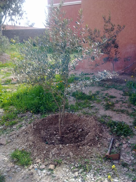 17353759116 5d25e0b2d6 o