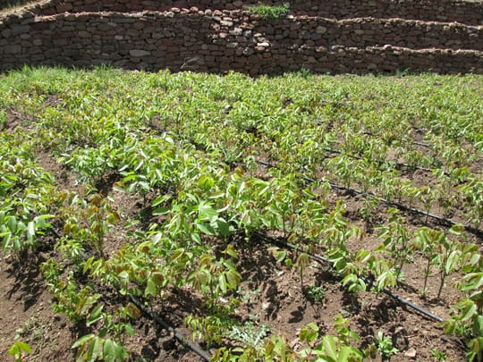 17373770975 ef7ef9fab5 o