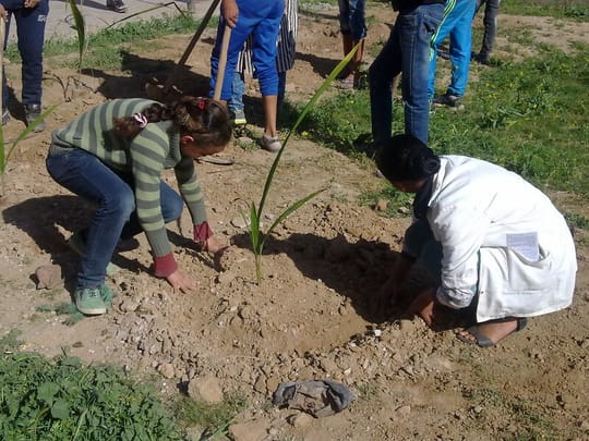 17379436461 3c8f92e11f c