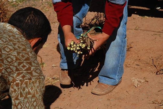 2286124227 da1913c270 o