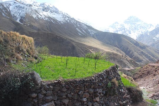 2286918286 23361893f9 o