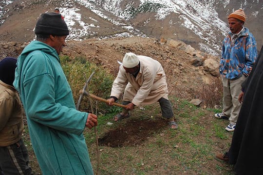 2286928118 9bbf0e729b o