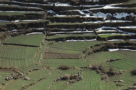 2286944792 a2643d96b0 o