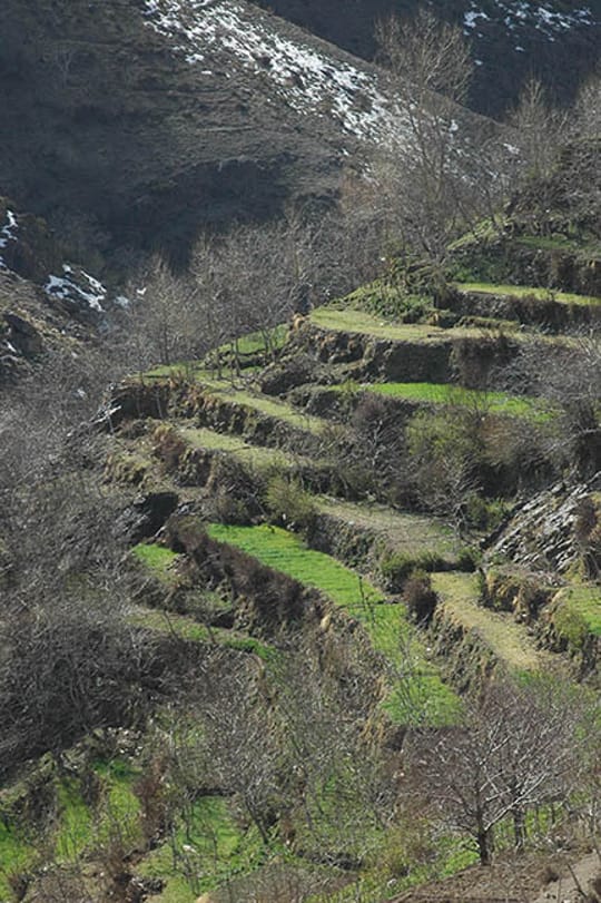 2286945822 77b55c1a7b o