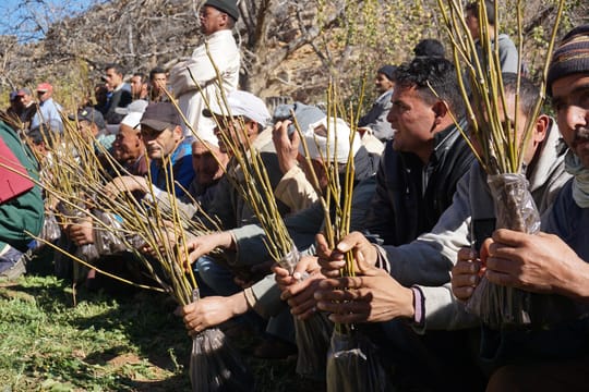 24144322423 5c97b897d2 o