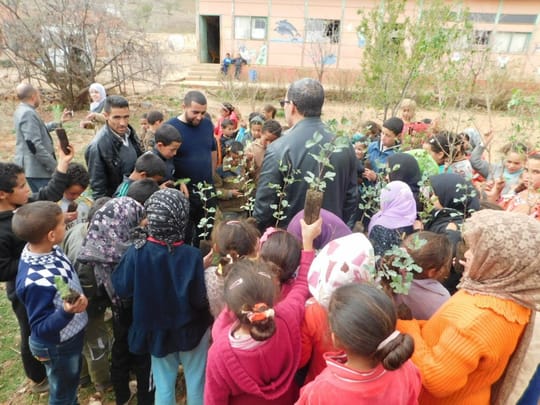 26418081376 f6238d39b7 o 1 1