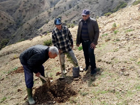 26422063887 d83870bb95 o