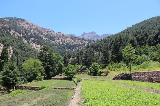 26941424903 8278950ef8 c