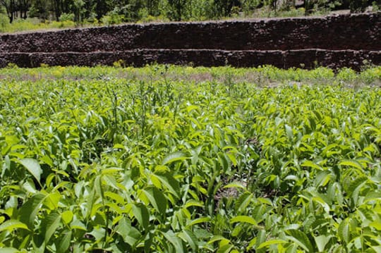 26941649183 5b813490fd 3k